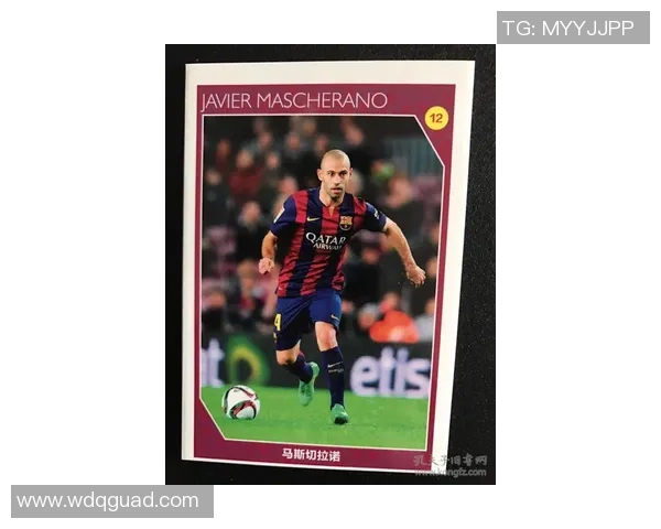 卡卡世界杯传奇球星珍藏卡片集精选回顾与荣耀瞬间