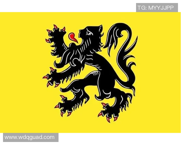 荷兰足球队讲法语的球星与法语文化的深厚渊源分析